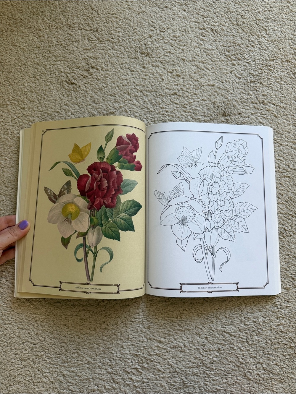 The Beautiful Nature Coloring Book - Picture 3 of 6
